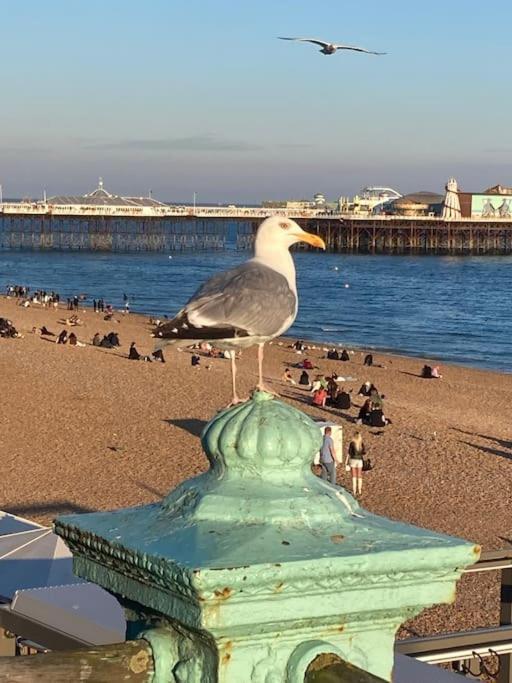 Regency Brighton Seafront Apartment Kültér fotó